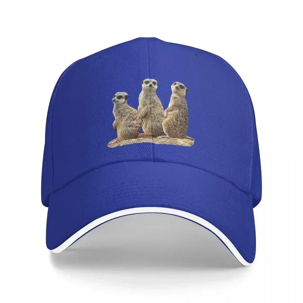 Funny meerkat on a rock in Africa Baseball Cap summer hat hard hat Snap Back Hat Trucker Cap Womens Beach Unisexs