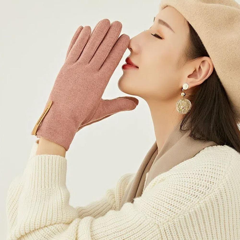 Keep Warm Winter Gloves Windproof Women's Gloves Fashion Cashmere Gloves  Drive