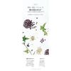 BOJ Red Bean Refreshing Pore Mask Beauty Joseon 140ml