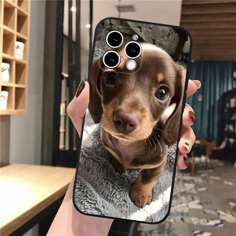 

Phone Case Carcasa Funda For iPhone 17 Pro Max 17 Air 16 15 14 13 Pro Max 15 16 Pro 15Plus Dachshund Dog iPhone 17ProMax