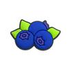 15-Piece Cute Fruit Shoe Charms Set for DIY Decorations
