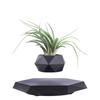 Magnetic Levitation Bonsai: Air-Purifying Ornamental Plant for Home or Office
