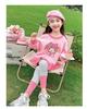 Girls' Toddler Long Sleeve Korean Style Casual Sweatshirt and Dress Set for Spring and Autumn