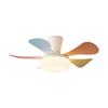 OEING Smart Ceiling Fan with Eye-Care LED Light
