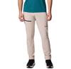Columbia Titan Pass Pant II Hiking Pants Dark Stone Beige/brown