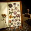 One Pack of 100 Retro Flower Hard Card Stickers for DIY Scrapbooking and Photo Album Decoration