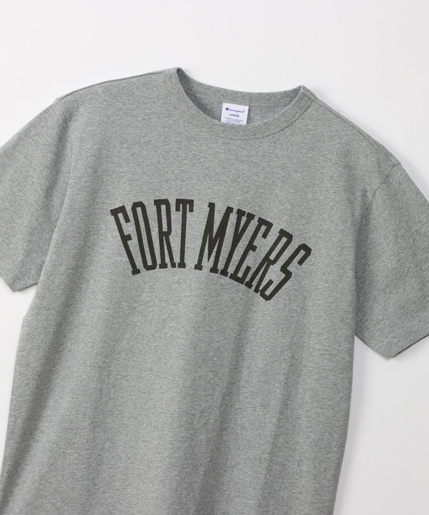 Champion Basic Short Sleeve Oxford Short Crew USA Graphic Print Men's T-Shirt, C3-B344, Gray, Sleeves, Neck, 100% Cotton, Fabric,