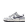 Nike Dunk Low Grey/Sail FB9109-101