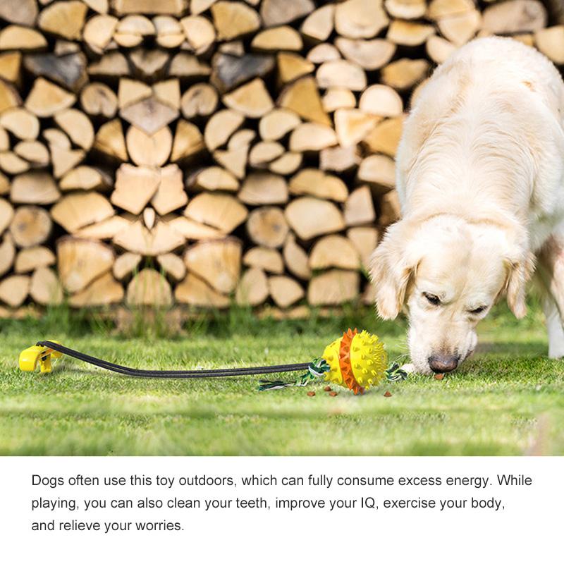 dog backyard toys