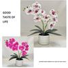 Vícekvětá Imitace Motýlí Orchideje Bílý Květináč Falešné Květiny Umělé Falešné Rostliny DIY Plastová Falešná Květina Domácí Dekorace