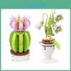 Cogo Indoor Decorative Plant Pot Set