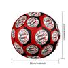 FC Bayern Munich Printed Football | Size 5