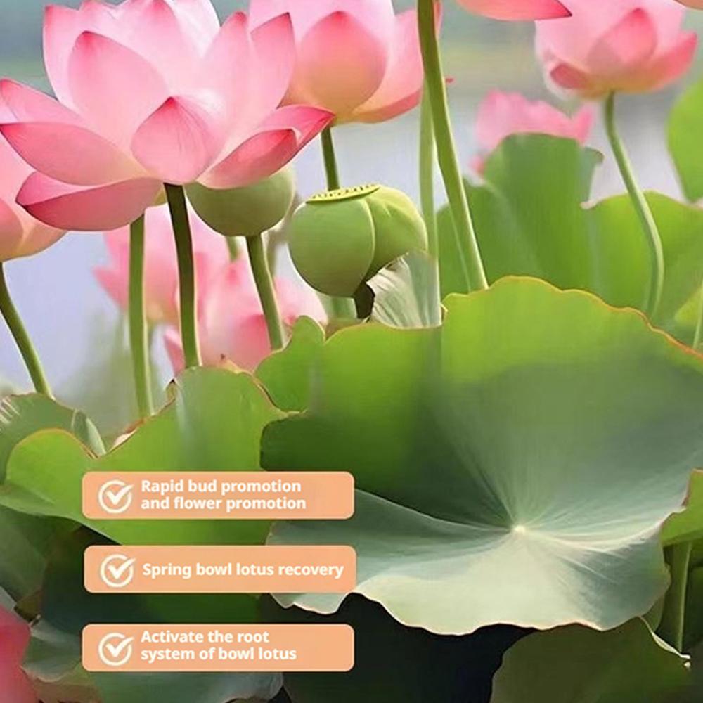 

200g Bowl Lotus Explosions Water Special Nutrient Solution Promotes Flowering Fertilizer Water Lily Hydroponic Fertilizer New CN
