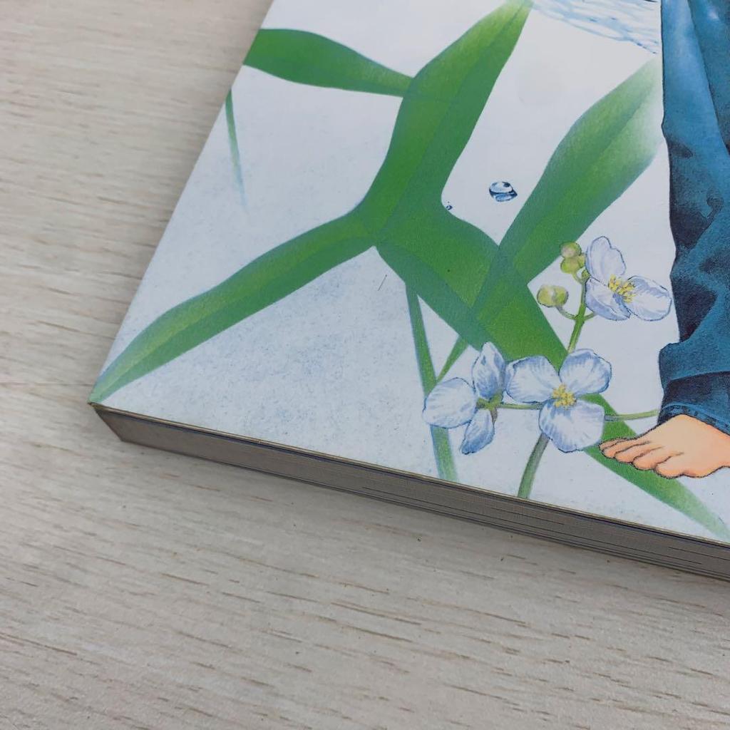 [USED] Watermark: Minako Narita Art Collection First Edition Watermark