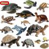 Oenux Ocean Animals  Leatherback Tortoise Turtle Growth Cycle Sea Life Model Figurines Action Figures PVC Education Kid Toy Gift