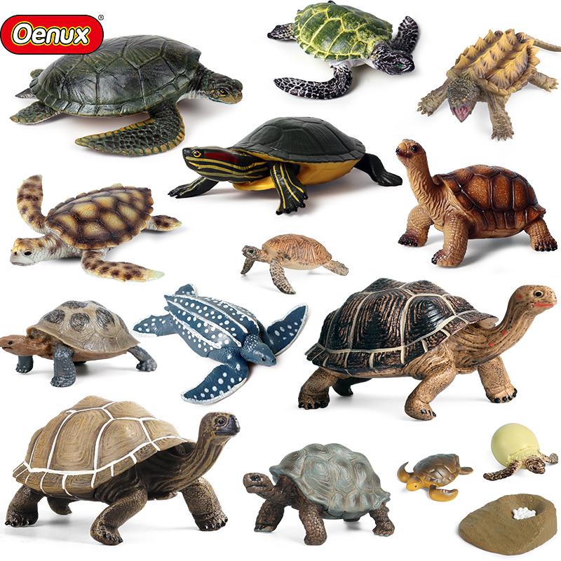 Oenux Ocean Animals Leatherback Tortoise Turtle Growth Cycle Sea Life Model Figurines Action Figures PVC Education Kid Toy Gift