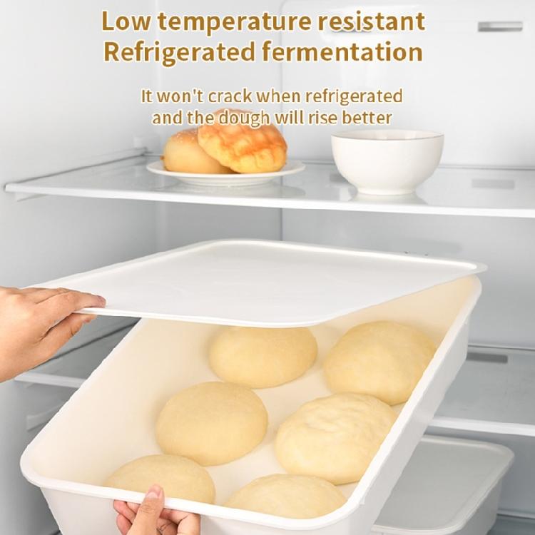 Rapid Fermentation Dough Box Featuring PE Materials for Optimal Result Clear Designs and Airtights Seal Domestic