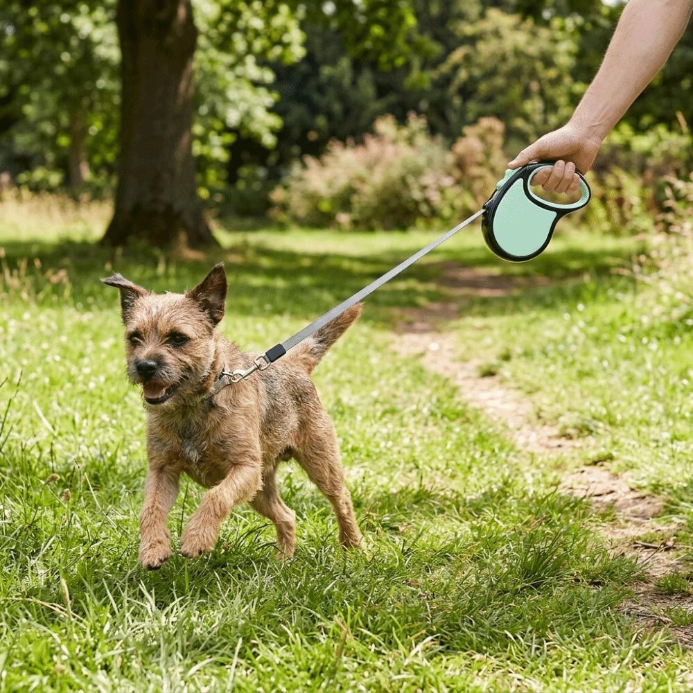 3m Length Automatic Dog Lead Flexible Strap Dog Rope Leash Pet Walking Leash  Outdoor Activity 3 m зелёный