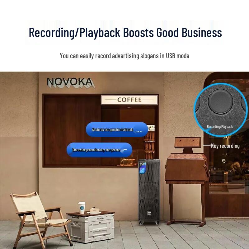 SAST Professional Portable PA Speaker System CN plug (adapter included)