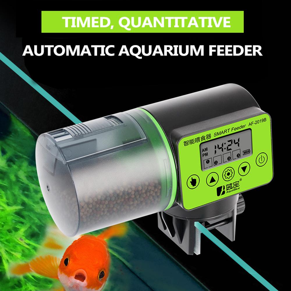 electronic fish feeder