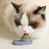 Degree Toys Grinding Interactive Kitten Toy, Cs Toys, with Lid, Wall Ground Windows