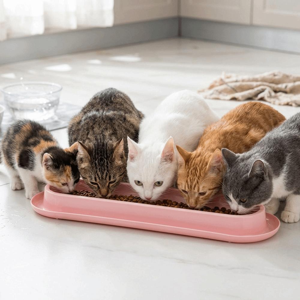 Anti Slip Pet Bowl Extra Long Cat Dog Feeder Ant-Proof Design Cat Water Feeder Pet Household