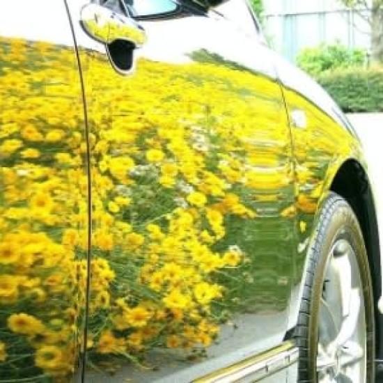 Bliss 80 Trial Set Glass Fiber Coating Agent