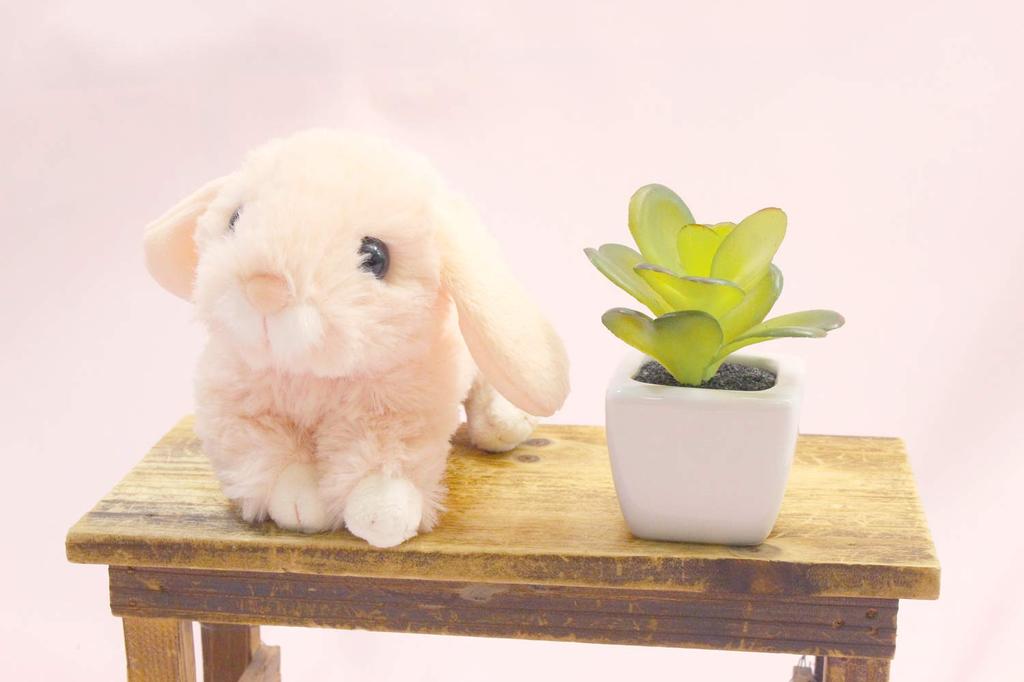 Takeoff Rabbit Marron Lop-eared Pink