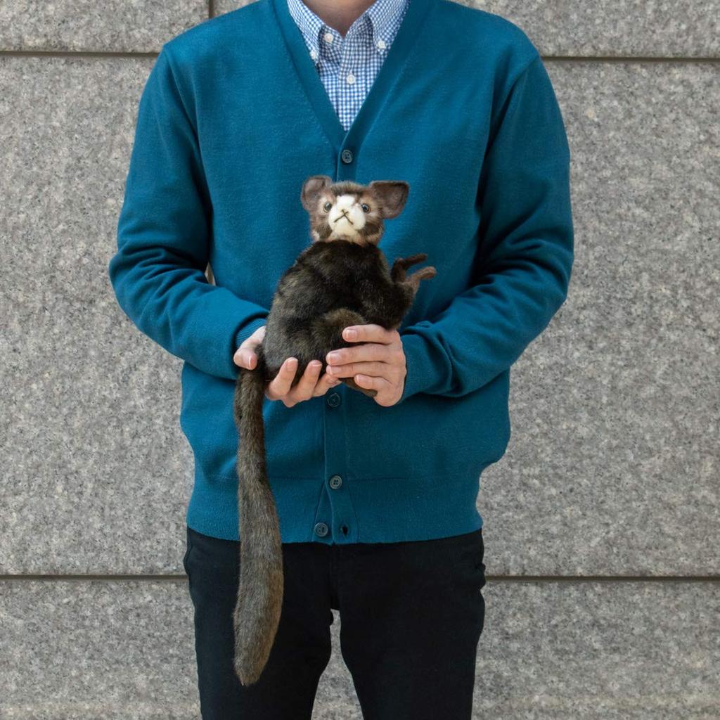 BH5166 HANSA AiAi 20