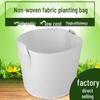 Thickened Degradable Non-woven Fabric Seedling Bags for Horticultural Planting