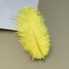 Source Thin Rod Ostrich Hair 20-25Cm High Quality Feather Diy Stage Clothing Accessories Flower Arrangement Material