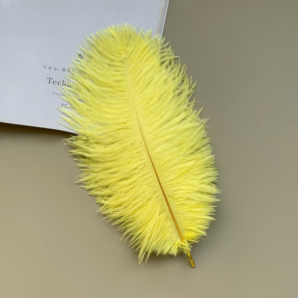 Source Thin Rod Ostrich Hair 20-25Cm High Quality Feather Diy Stage Clothing Accessories Flower Arrangement Material