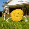 Durable Loofah Dog Chew Toy - Teeth Cleaning & Self-Entertainment for Puppies.