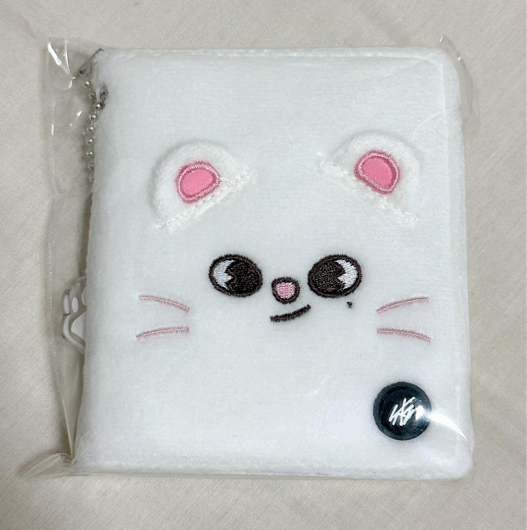 

[USED] Stray Kids / Genielet / Photo Card Case / Trading Card Case / Hyunjin