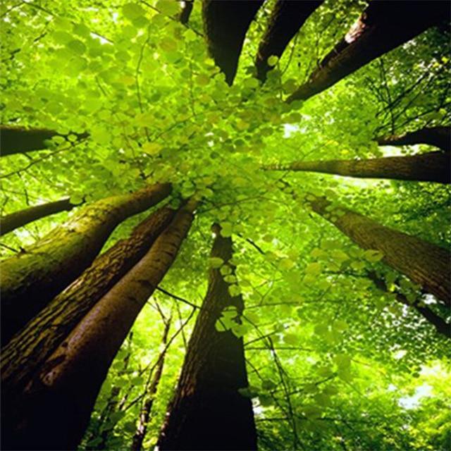 Pictură cu diamant 5D DIY, cerc complet, peisaj, arbore, reflecție, broderie, pictură cu punct de cruce