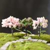 Garden Home Crafts Fairy Plants Decoration Miniatures Terrarium Landscaping Simulation Tree