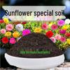 Organic Sunflower Soil Fertilizer for Flowers & Green Plants - Nutrient-Rich, Fermented, Breathable