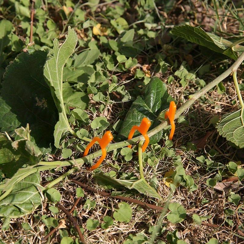 100pcs Plant Clip Strawberry Fork Tool Gardening Plastic Environmental Orange Durable Fixed Fixture Clamps Plant Fixed Tools