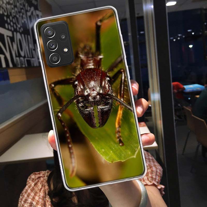 Red Fire Ants, Worker Ants Phone Case for Samsung A54 A57 A37 A17 A14 A15 A12 A24 A34 A55 A35 A25 A52S A07 A05S A04S A22 A32 A72