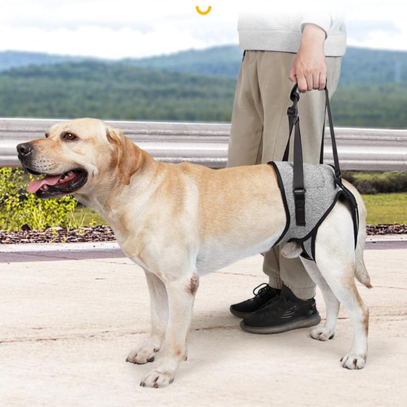 Convenient Dog Sling for Medium Large Dogs Back Support Dog Lift Harness for Injured Elderly Dogs Disabled Pet Supplies