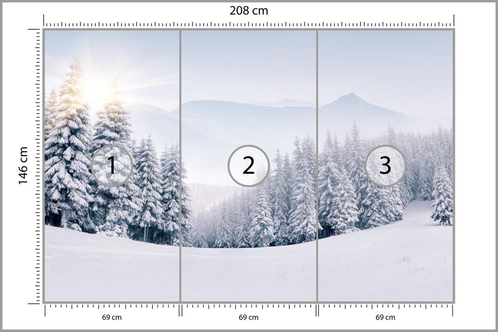 Photomural Winter Forest Structural Vinyl 208x146