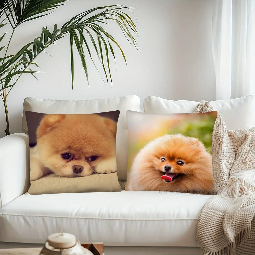 Poszewka na poduszkę dla psa rasy szpic miniaturowy Modna kwadratowa poszewka na poduszkę Sypialnia Sofa Pokój Dekoracja Ins Wypoczynek