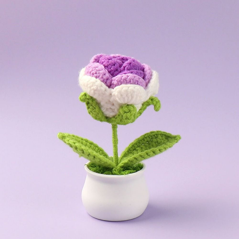 

Mini Flowers Potted Ornament Hand-Knitted Artificial Woven Flowers Commemorative Gift