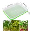 Sprouting Trays Reusable Planting Trays Multi-Layer Sprout Vegetable Planting Tool For Professional Indoor Watering Breeding