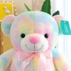 Bear Colorful Rainbow Plush Toy Fluffy Stuffed Animal Adorable Bear Hugging