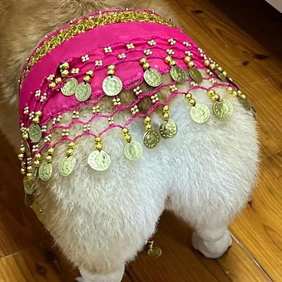 Dog Dance Costume Corgi Waist Chain Butt Curtain Clothes Pet Sequin Belly