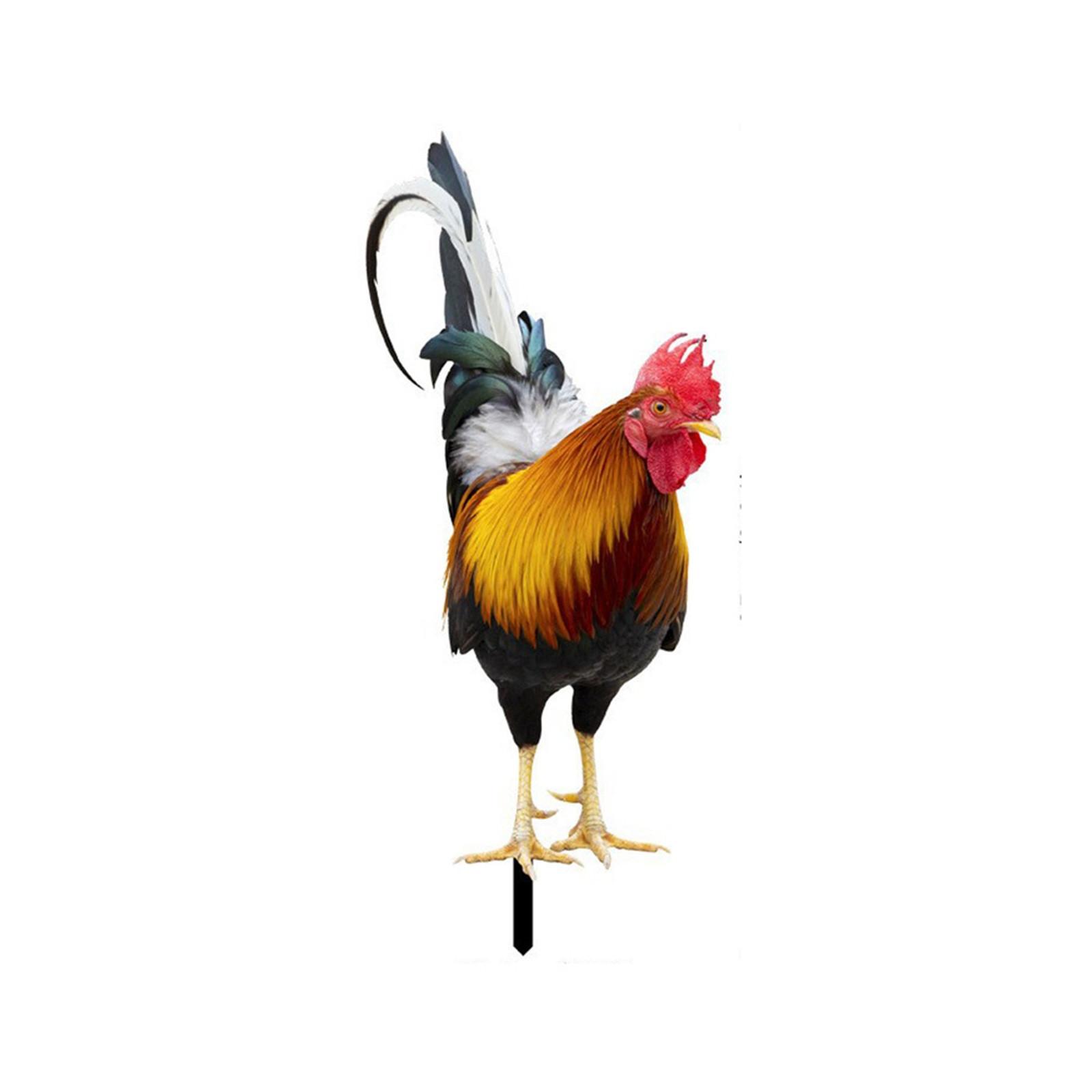 

Garden Rooster Statue Chicken Sculpture For Yard Decor Weatherproof Hen Figurine For Patio Backyard Home Outdoor Decoration 2D One Size