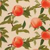 Outdoor Dekostoffe Oxford - Motiv Obst | Dx6307