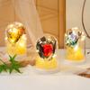 Led Glow Eternal Flower Glass Cover Birthday Gift Girl Mother's Day Valentine's Day Teacher's Day Simulation Rose