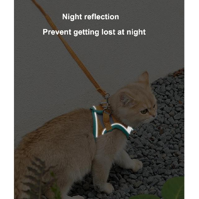 Cat Dog Noctilucent Harness with Lead Leash Adjustable Vest Polyester Mesh Breathable Harnesses Reflect Light Cat Accessories